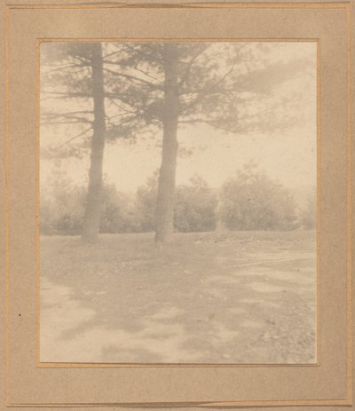 Landscape with Trees by Joseph T. Keiley