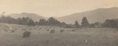 Landscape with Trees and Mountains by Joseph T. Keiley