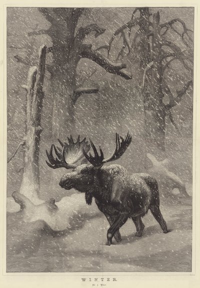 Winter by Joseph Wolf