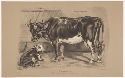 Cow with Calf in a Stable by Joseph Zephyris Gengembre