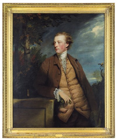 Portrait of Denis Daly by Joshua Reynolds