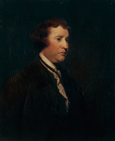 Portrait of Edmund Burke by Joshua Reynolds