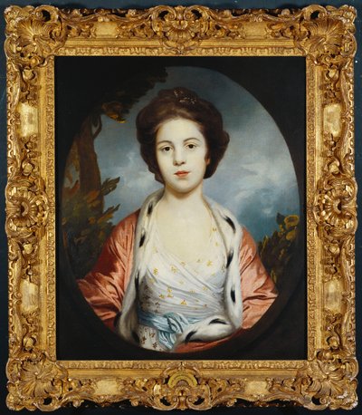 Portrait of Esther, Lady Wray, Wearing a White Dress, a Gold and Pink Ermine-Lined Cloak, a Landscape Beyond by Joshua Reynolds