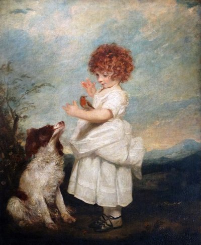 Portrait of Master Philip Yorke by Joshua Reynolds