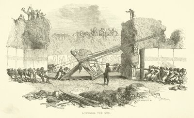 Lowering the bull by Josiah Wood Whymper