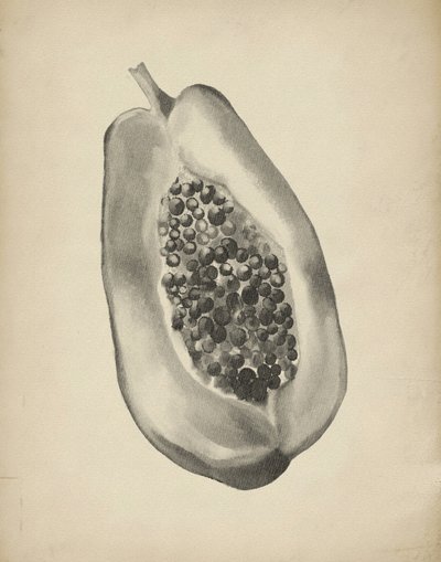 Tropical Papaya Half by Josie George
