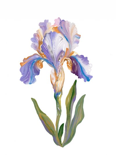 Vibrant Painterly Iris by Josie George