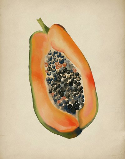 Vibrant Papaya Half by Josie George