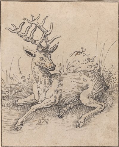 The Stag by Jost Amman
