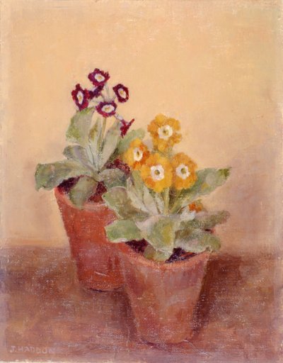 A Pair of Poppies by Joyce Haddon