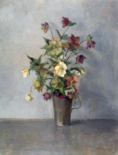 Flowers in a Vase by Joyce Haddon