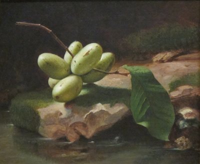 Still-Life with Paw Paws by Jr. Edward Edmondson