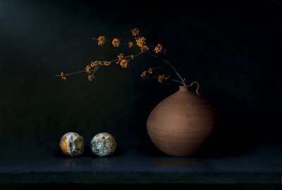 Dark Still Life With Fruit by Juan Antonio Palacios