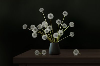Quiet Dandelion Arrangement by Juan Antonio Palacios
