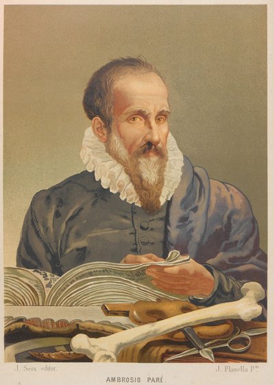 Portrait of Ambroise Paré by Juan Planella y Rodríguez