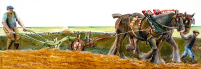 Ploughing by Judith Dobie