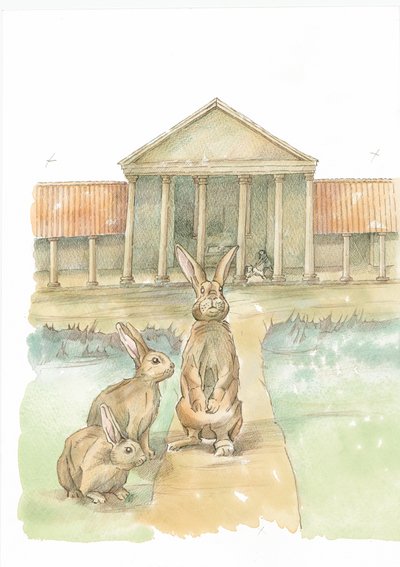 Rabbits in front of Fishbourne Roman Palace, Fishbourne, Chichester, West Sussex, 2019 by Judith Dobie