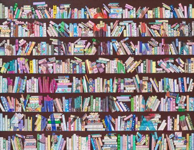 Whimsical Bookshelf Patterns by Jukyong Park