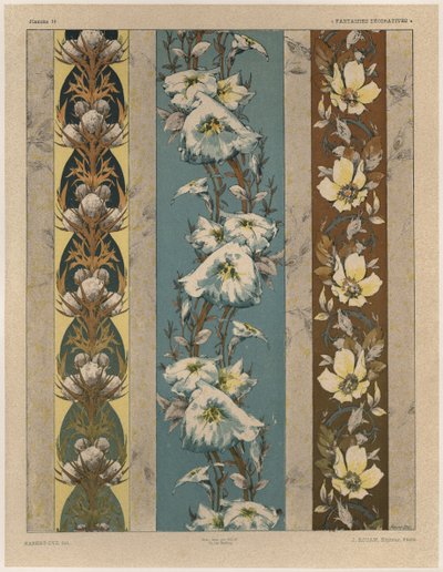 Flowers, Plate 18, Illustration from 