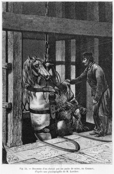 Horse being winched down the coalpit at Le Creusot, illustration from 
