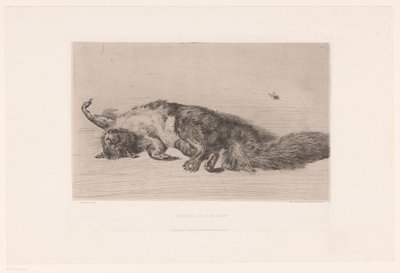 Dead Squirrel and Fly by Jules Ferdinand Jacquemart