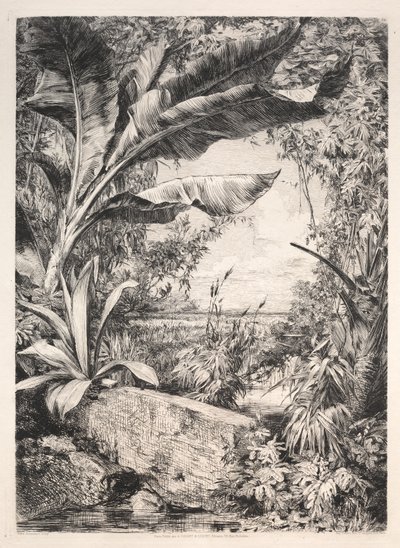 Plants of the Greenhouse, 1872 by Jules Ferdinand Jacquemart