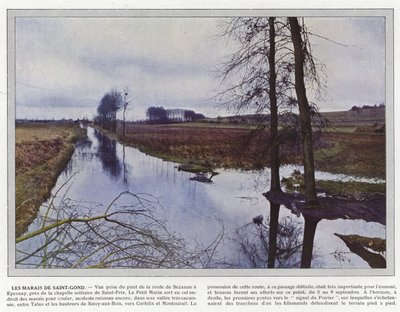 Les Marais de Saint-Gond by Jules Gervais Courtellemont