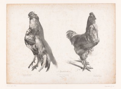Study of a Dead and a Live Chicken by Jules Joseph Augustin Laurens