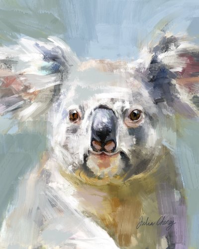 Gentle Koala Gaze by Julia Cheney