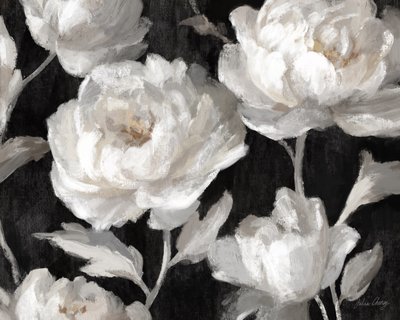 White Peonies On Black by Julia Cheney
