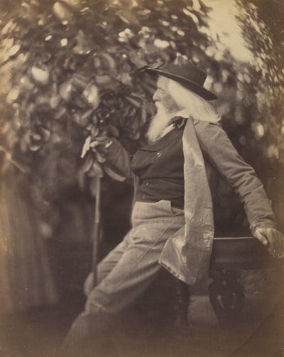 Charles Hay Cameron, Esq., in His Garden at Freshwater, 1865-67 by Julia Margaret Cameron