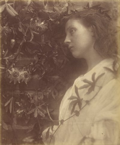 Maud There has Fallen a Splendid Tear From the Passion Flower at the Gate by Julia Margaret Cameron