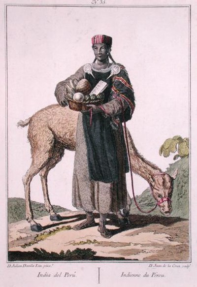 Peruvian Indian by Julian Davila