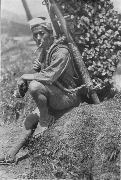 Middle-aged coolie hurriedly seated himself on the bank to pass us in review, c1900 by Julian Leonard Street
