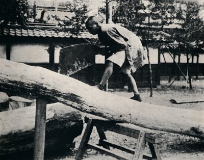 Sawing and Planing are Made with a Pulling Instead of a Driving Motion by Julian Leonard Street