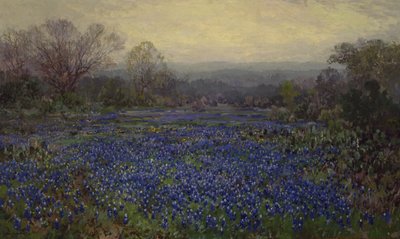 Untitled - Field of Bluebonnets by Julian Onderdonk