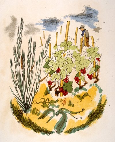 Humorous Wine Illustration 1946 by Julien Pavil