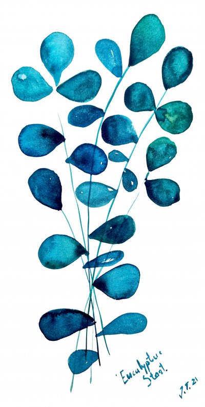 Blue Eucalyptus Leaves by Julija Belickienė