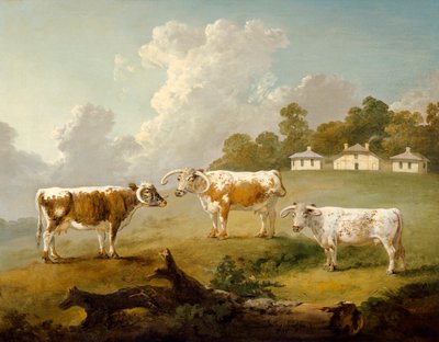 Three Long-horned Cattle at Kenwood, 1797 by Julius Caesar Ibbetson