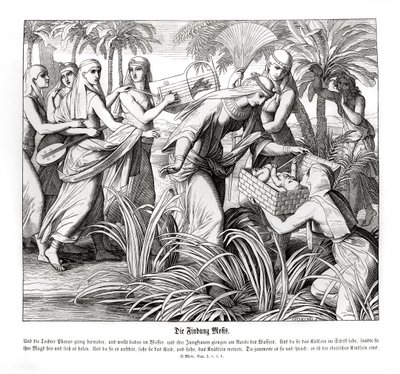 Moses Is Discovered in the Reeds, Exodus by Julius Schnorr von Carolsfeld