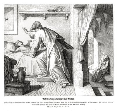 Revival of the Widow