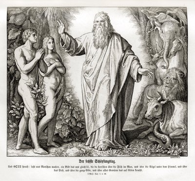 Sixth Day of Creation by Julius Schnorr von Carolsfeld