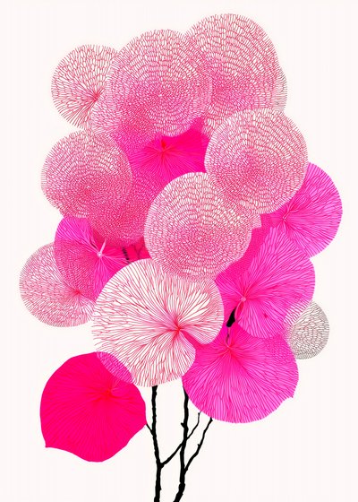 Modern Pink Botanicals by Justyna Jaszke