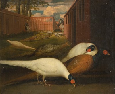 Pheasants in an Enclosure by KMS Stroe 159 Ubekendt