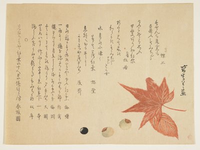 Autumn Leaves and Nuts by K II Skoku