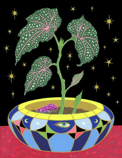 Begonia in a Pot by Kam Tsz