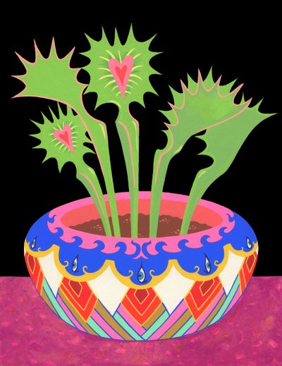 Flytraps in a pot, 2021 by Kam Tsz