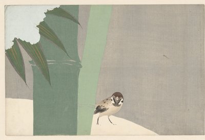 Bamboo in Snow (title on object: Settchu Take) (series title: Flowers of a Hundred Worlds) (series title: Momoyogusa, Vol. 1) by Kamisaka Sekka