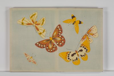 A Thousand Kinds of Butterflies, Volume 1 by Kamisaka Sekka