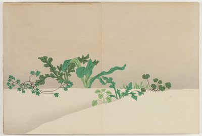 Flowers of a Hundred Worlds: Seven Herbs of Early Spring by Kamisaka Sekka